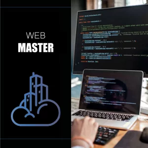 web master a ore